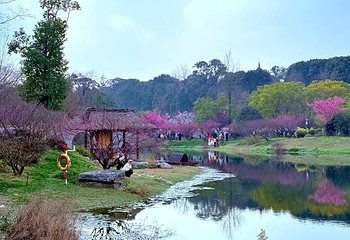 浣花溪公园第 52 张图片