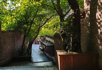 山城步道第 96 张图片