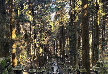 上色见熊野座神社第 32 张图片