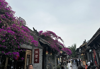 宽窄巷子第 183 张图片