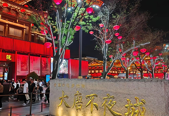 大唐不夜城第 124 张图片