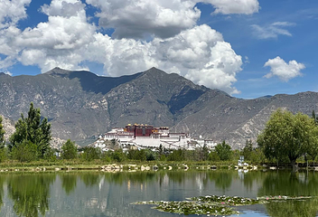 南山公园第 5 张图片