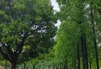 东钱湖第 42 张图片