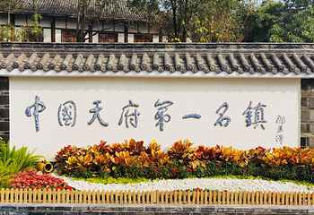 黄龙溪古镇第 5 张图片