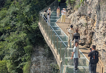 张家界大峡谷第 100 张图片