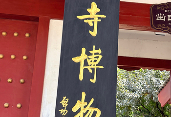 法门文化景区第 114 张图片