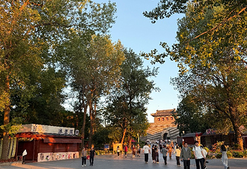 老龙头第 92 张图片