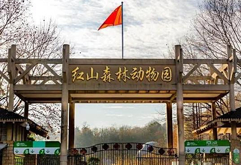 红山森林动物园第 184 张图片