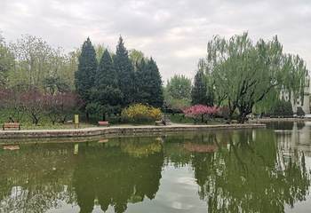 团结湖公园第 129 张图片