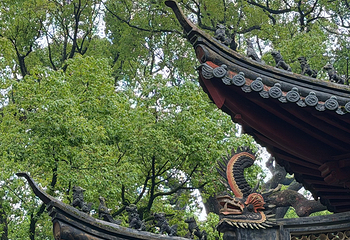 普陀山风景区第 188 张图片