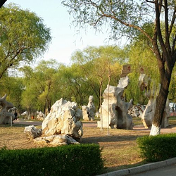 中兴公园