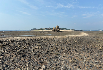 济扶岛第 18 张图片