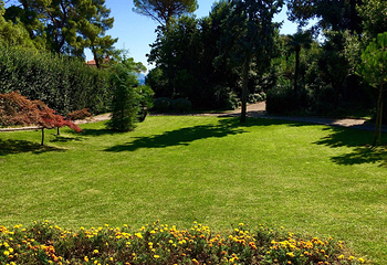 The Angiolina Park - Villa Angiolina第 16 张图片