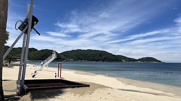 ヤシの木ブランコ