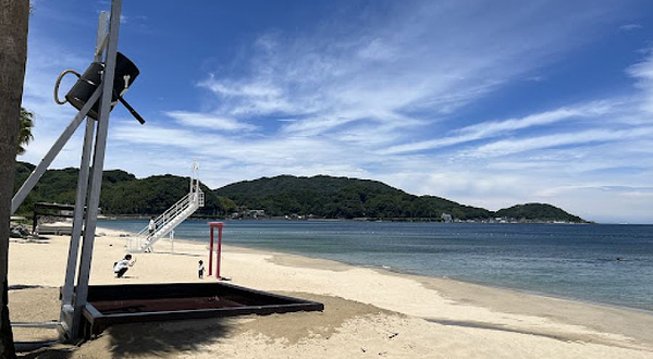 ヤシの木ブランコ