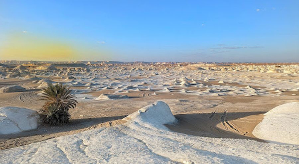White Desert