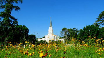 德克萨斯休斯敦圣殿