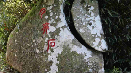 海南铜鼓岭景区第 49 张图片