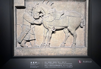 西安碑林博物馆第 37 张图片