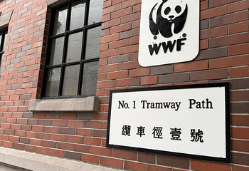 山顶缆车第 153 张图片