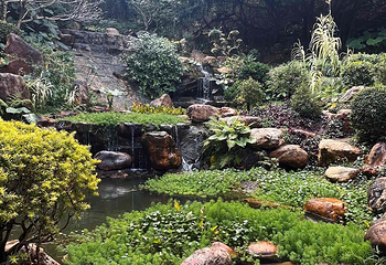 青秀山第 197 张图片