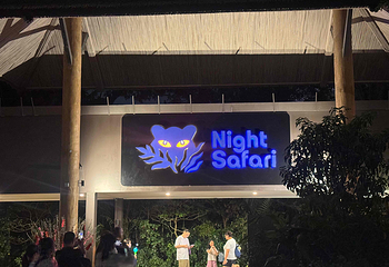 夜间野生动物园第 57 张图片