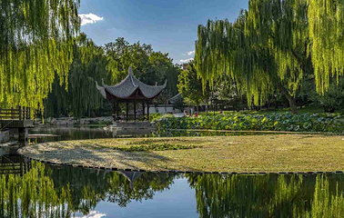 陶然亭公园第 18 张图片