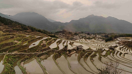 云和梯田景区第 51 张图片