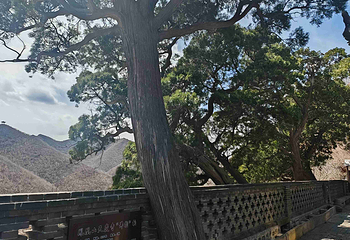 朝阳凤凰山第 31 张图片
