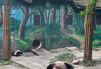 碧峰峡景区第 87 张图片