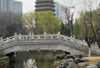 西安博物院第 264 张图片