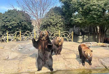 江苏淹城野生动物世界第 275 张图片