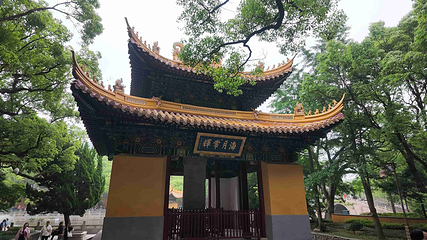 普陀山风景区第 132 张图片