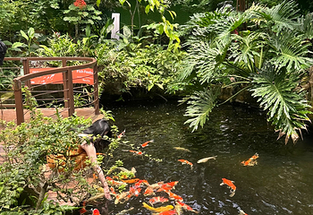 虫鸣大地第 90 张图片