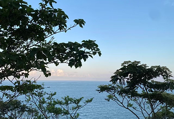 朱家尖风景区第 77 张图片