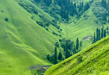 那拉提旅游风景区第 99 张图片