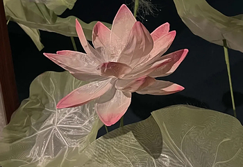 世博会博物馆第 91 张图片