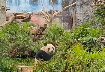 石排湾郊野公园第 62 张图片