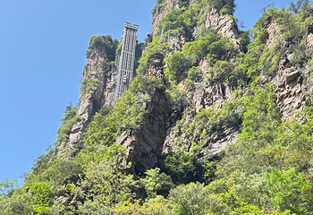 张家界国家森林公园第 195 张图片