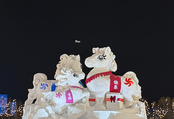 哈尔滨冰雪大世界第 792 张图片