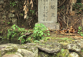 江郎山风景名胜区第 114 张图片