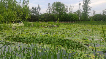 西安浐灞国家湿地公园-天池