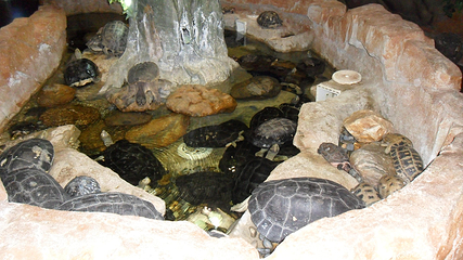 河内时代之城水族馆第 11 张图片
