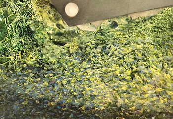 路德维希博物馆第 16 张图片