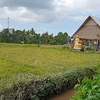 ATV Wahana Bali Adventure