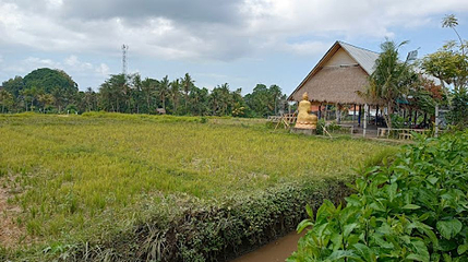 ATV Wahana Bali Adventure第 1 张图片