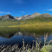 Kattfjordeidet