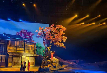 《驼铃传奇》秀第 20 张图片