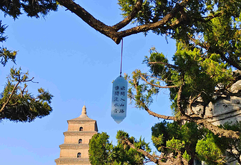 大雁塔第 61 张图片
