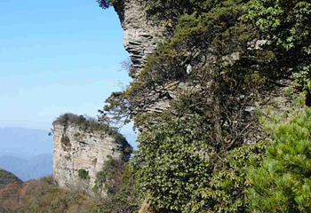 光雾山旅游景区第 93 张图片